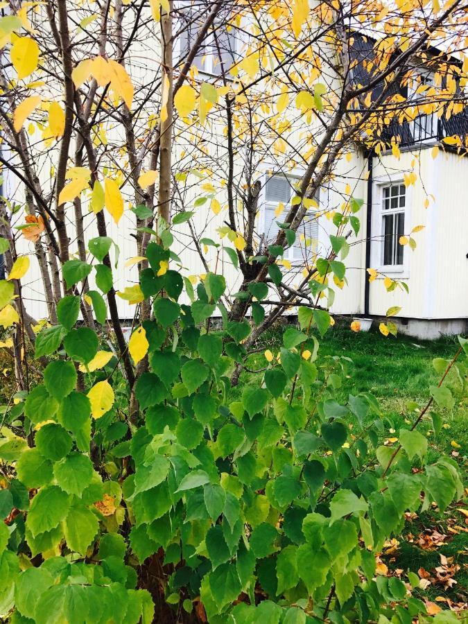 Parkgatan Villa Krylbo Exterior foto